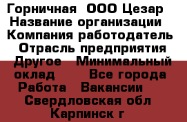 Горничная. ООО Цезар › Название организации ­ Компания-работодатель › Отрасль предприятия ­ Другое › Минимальный оклад ­ 1 - Все города Работа » Вакансии   . Свердловская обл.,Карпинск г.